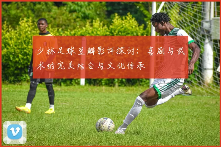 少林足球豆瓣影评探讨：喜剧与武术的完美结合与文化传承
