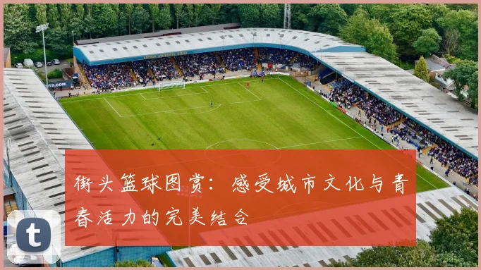 街头篮球图赏：感受城市文化与青春活力的完美结合