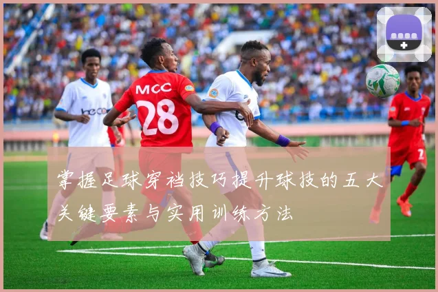 掌握足球穿裆技巧提升球技的五大关键要素与实用训练方法