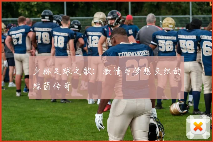 少林足球之歌：激情与梦想交织的绿茵传奇