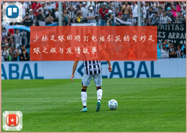 少林足球田鸡打电话引发的奇妙足球之旅与友情故事