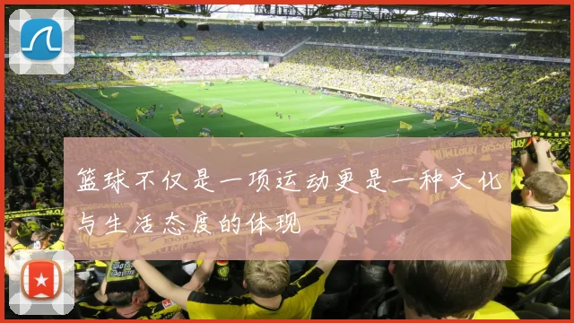 篮球不仅是一项运动更是一种文化与生活态度的体现